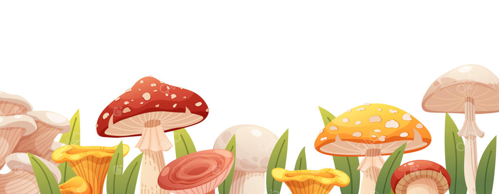 قارچ‌های رنگارنگ