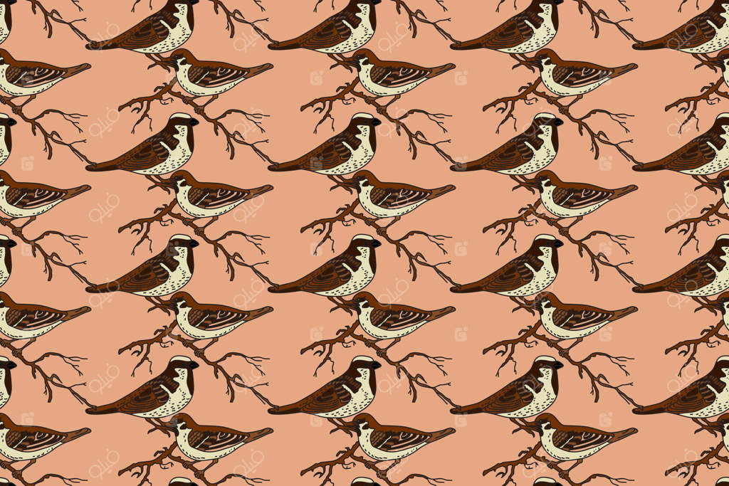 طرح انتزاعی گیاهی با پرندگان باغچه. پترن کارتونی رنگارنگ گنجشک‌ها با پس‌زمینه بژ. طراحی گرافیکی برای جلد مد و پارچه و تولد