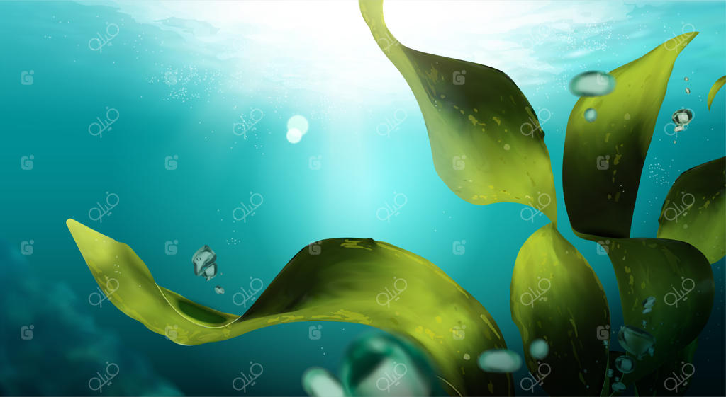 صحنه‌ای زیر آب با جلبک دریایی و حباب‌ها