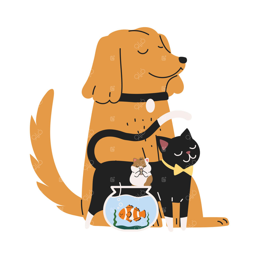 حیوانات خانگی و اهلی