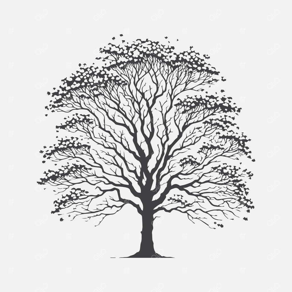 سایه‌رخ باشکوه درخت بارانک؛ شگفتی طبیعی و مسحورکننده