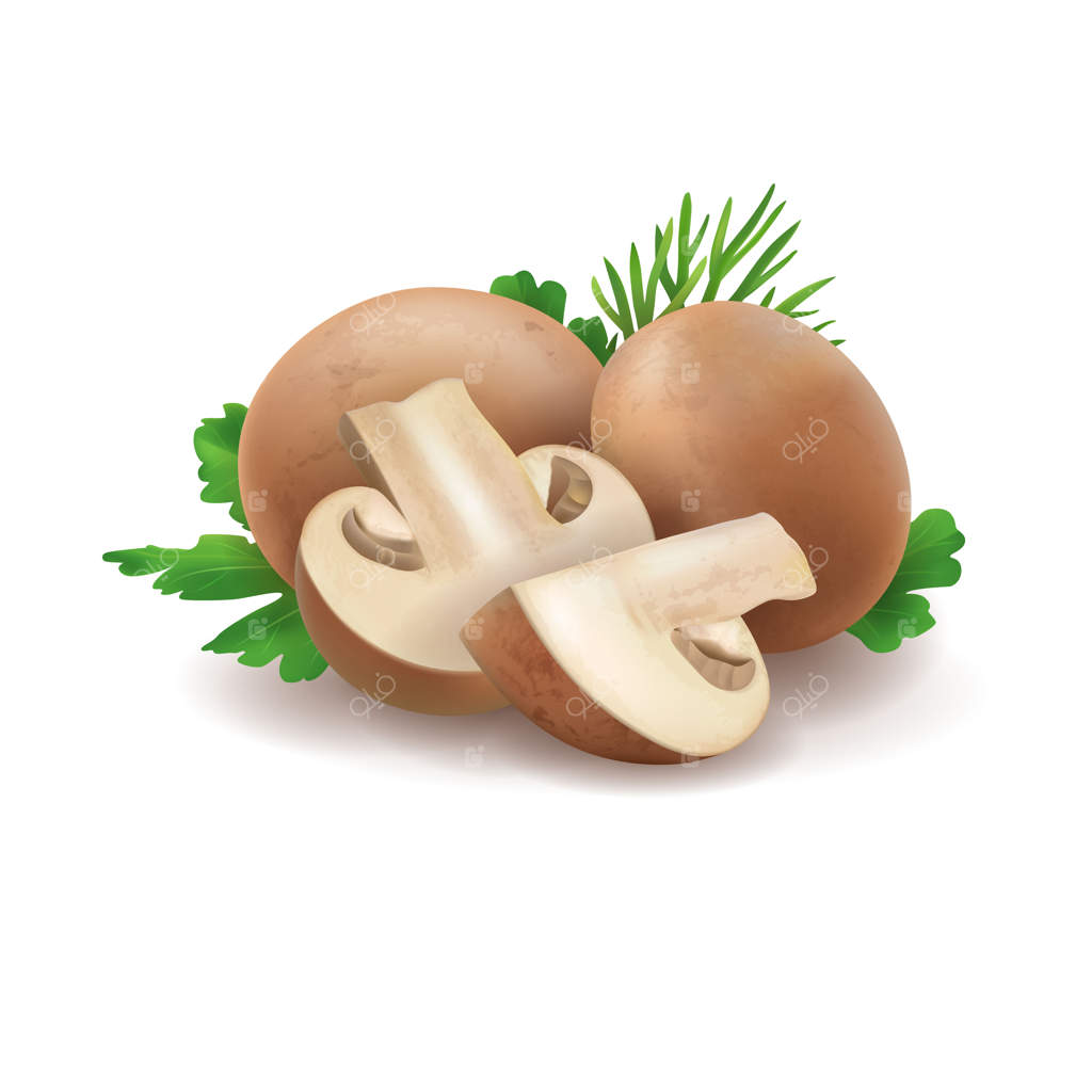 گروهی از قارچ‌های خوراکی واقع‌گرا در پس‌زمینه سفید.