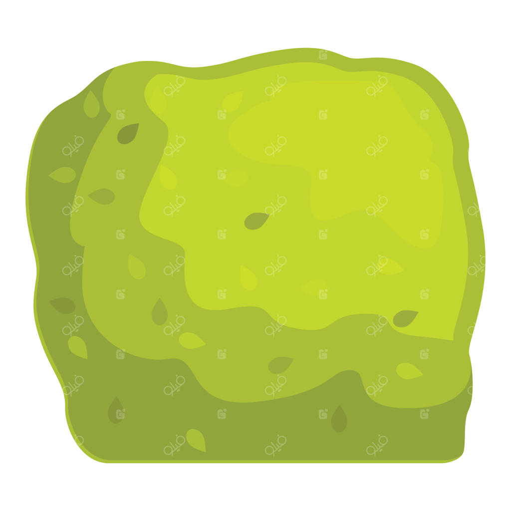 بوته‌ی مربع و سبز در حال رشد در باغ تابستانی