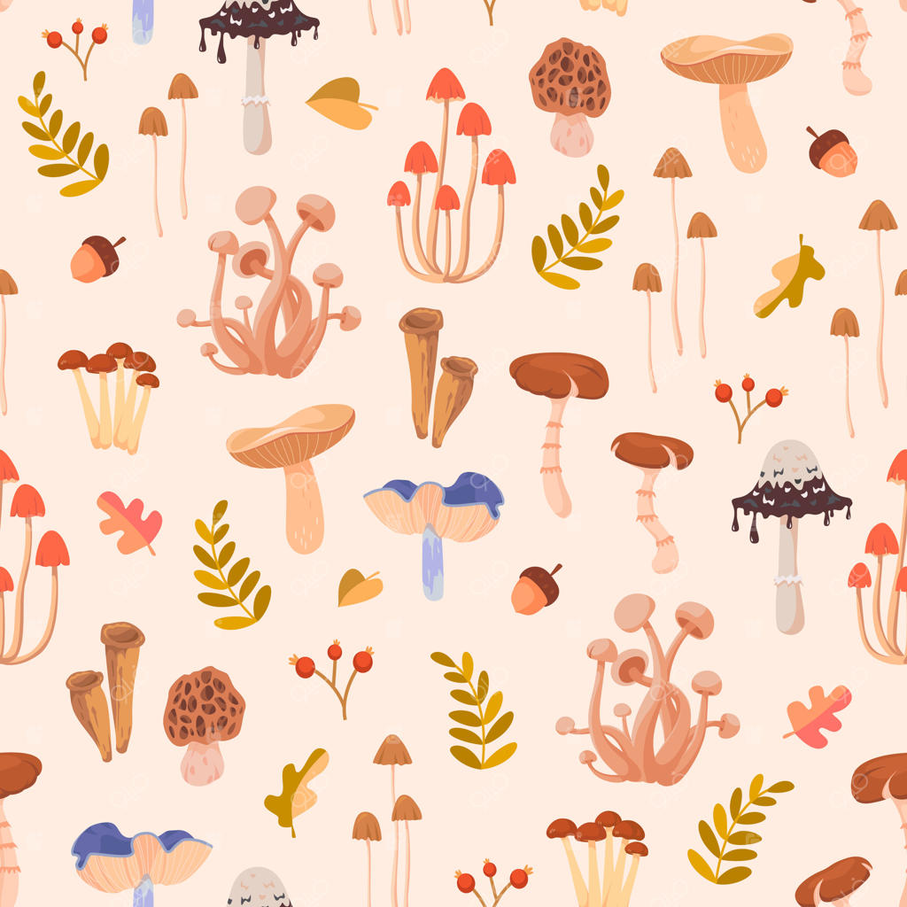 طرح قارچ‌های رنگارنگ