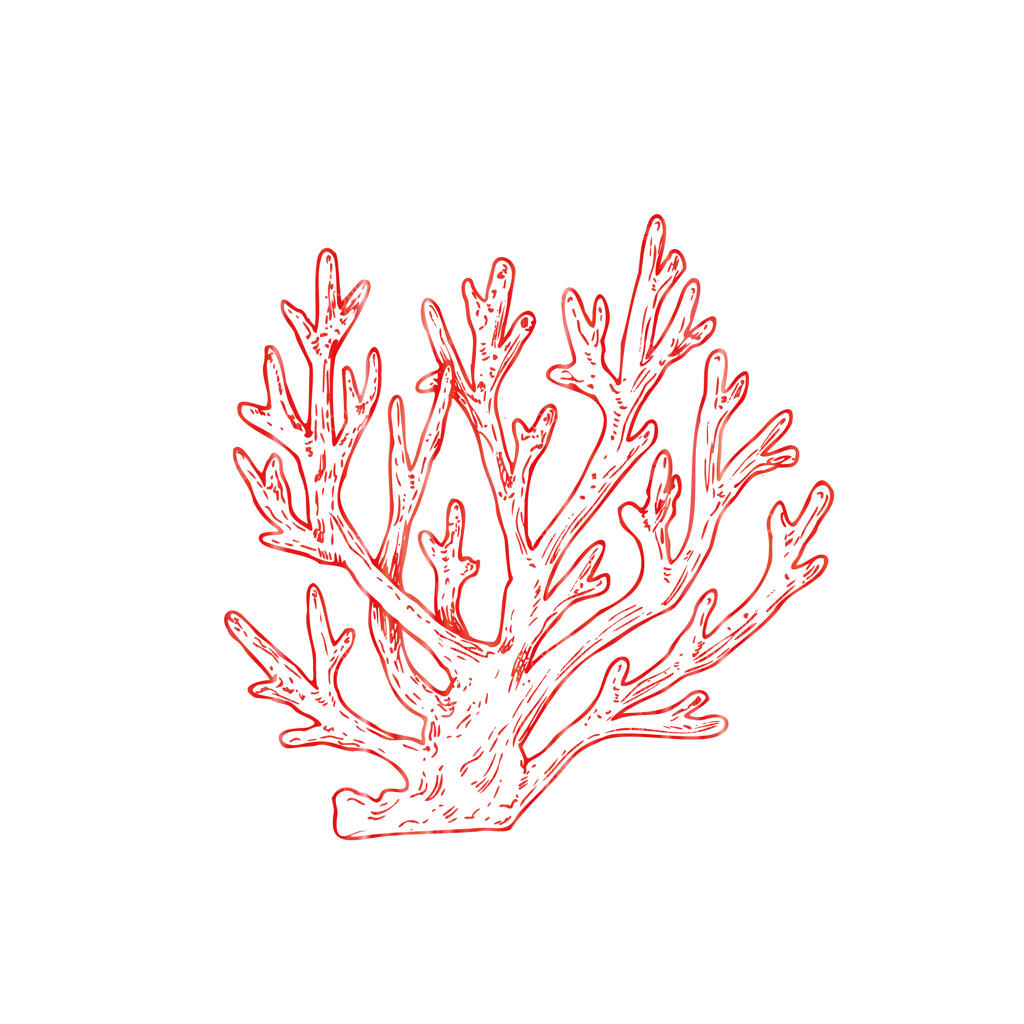 وکتور طرح دستی و خطی مرجان قرمز، اسکچ صخره دریایی استوایی، کلیپ‌آرت گرافیکی جدا شده از پس‌زمینه