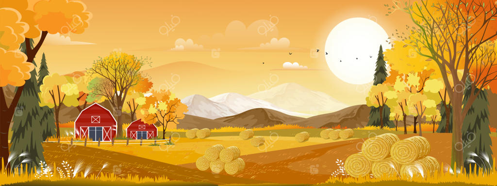 وکتور منظره پانورامای مزرعه در پاییز با آسمان نارنجی؛ نمای غروب زیبا در طبیعت روستایی با برگ‌های زرد و فضای خالی برای پس‌زمینه بنر