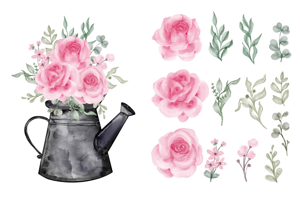 برگ‌های آبرنگی با رنگ صورتی رز مجزا