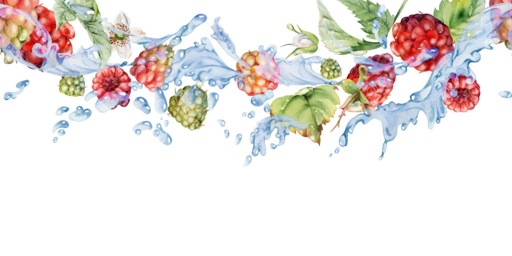 تمشک پرواز در قطرات آب با برگ‌ها و قطرات شبنم طراحی دست در آبرنگ. توت شیرین تابستانی باغ و جنگل؛ تمشک و شاه‌توت. بنر یکپارچه و جدا. مرباهای خانگی، لوازم‌التحریر و کتاب دستور پخت