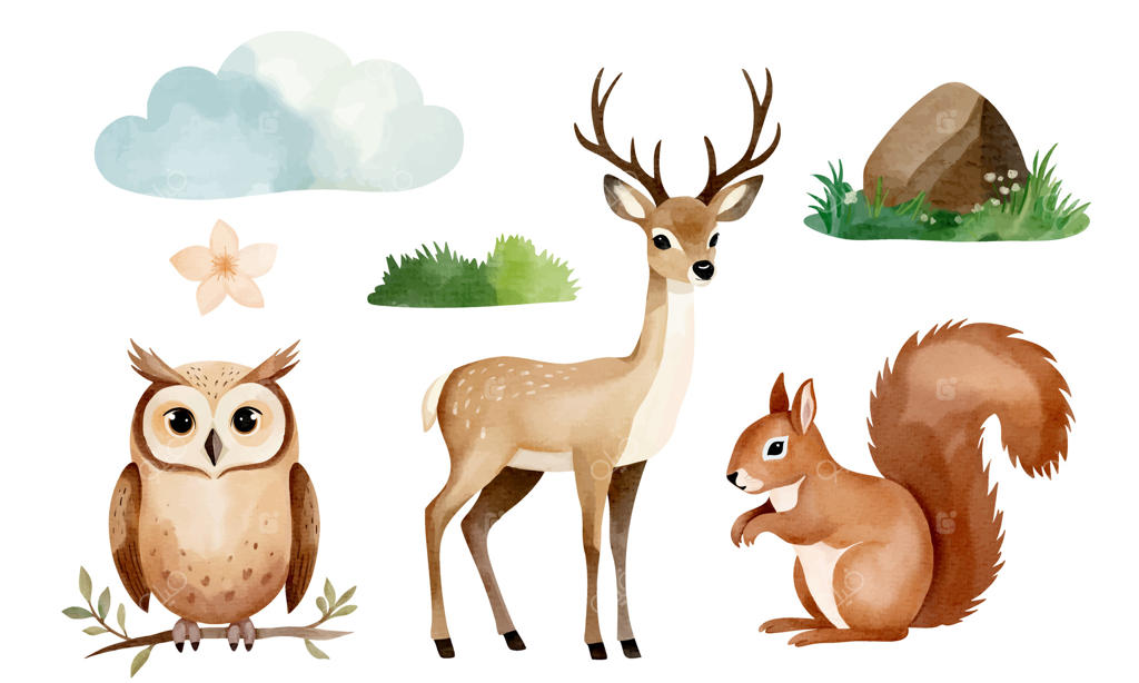 مجموعه‌ای از حیوانات و عناصر جنگلی طراحی شده با دست: گوزن شمالی، سنجاب، جغد. حیوانات جنگلی با آبرنگ.