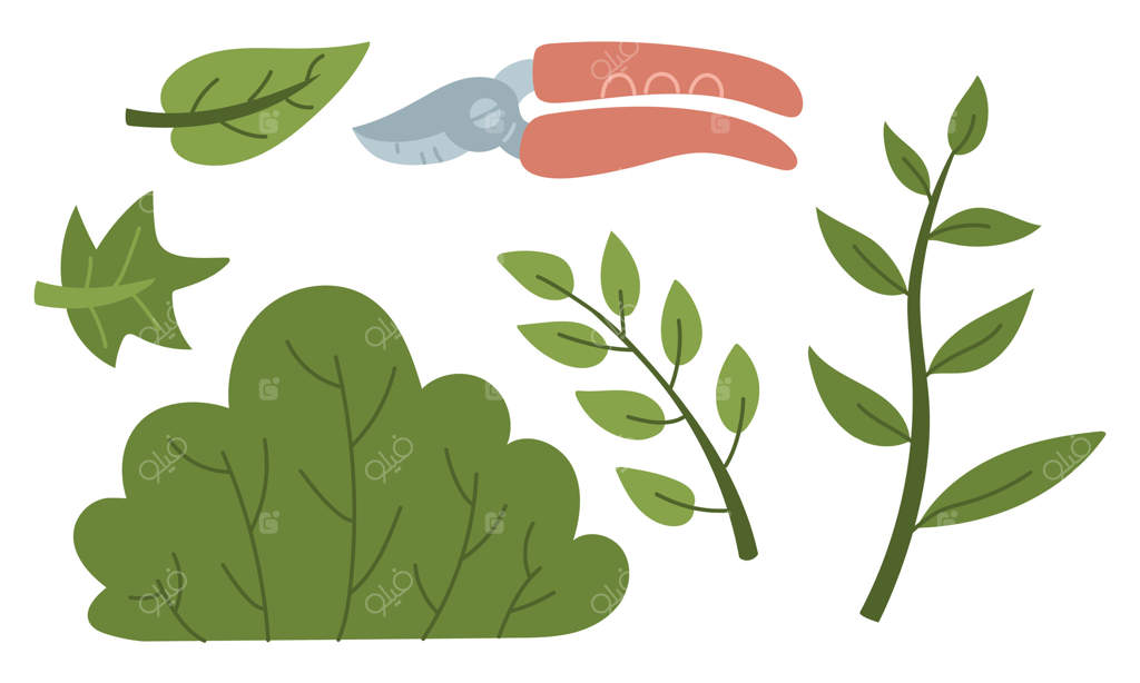 مجموعه ابزار نگهداری از گیاهان: قیچی باغبانی، بوته، شاخه‌ها و برگ‌ها. تصویرسازی ساده و جذاب. مناسب برای وبلاگ‌های باغبانی، بسته‌بندی محصولات باغی و موارد آموزشی و تبلیغاتی.