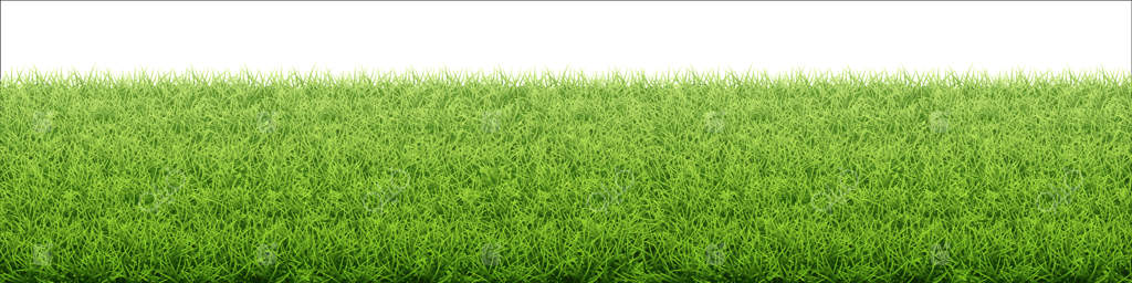 مرز از میدان چمن تازه