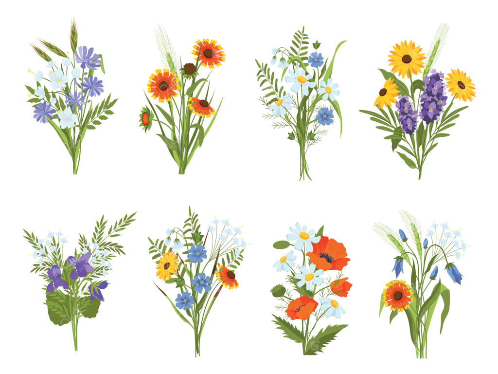 دسته گل‌های شکوفه با گل‌ها و گیاهان وحشی باغ و مراتع: مجموعه‌ای از گل‌های تابستانی زیبا، شامل بابونه، آفتابگردان و شقایق.