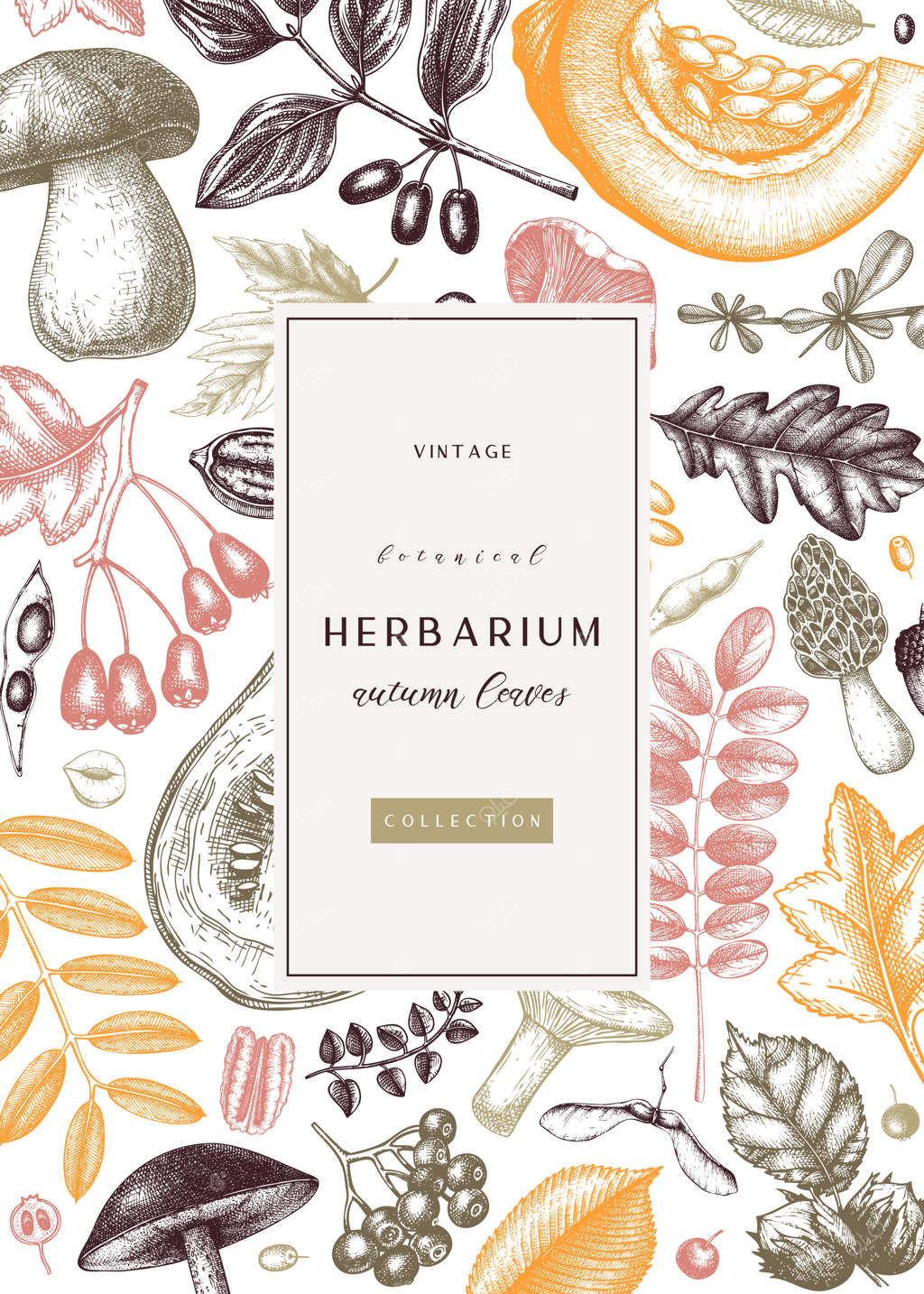 طراحی کارت یا دعوتنامه پاییزی رنگارنگ