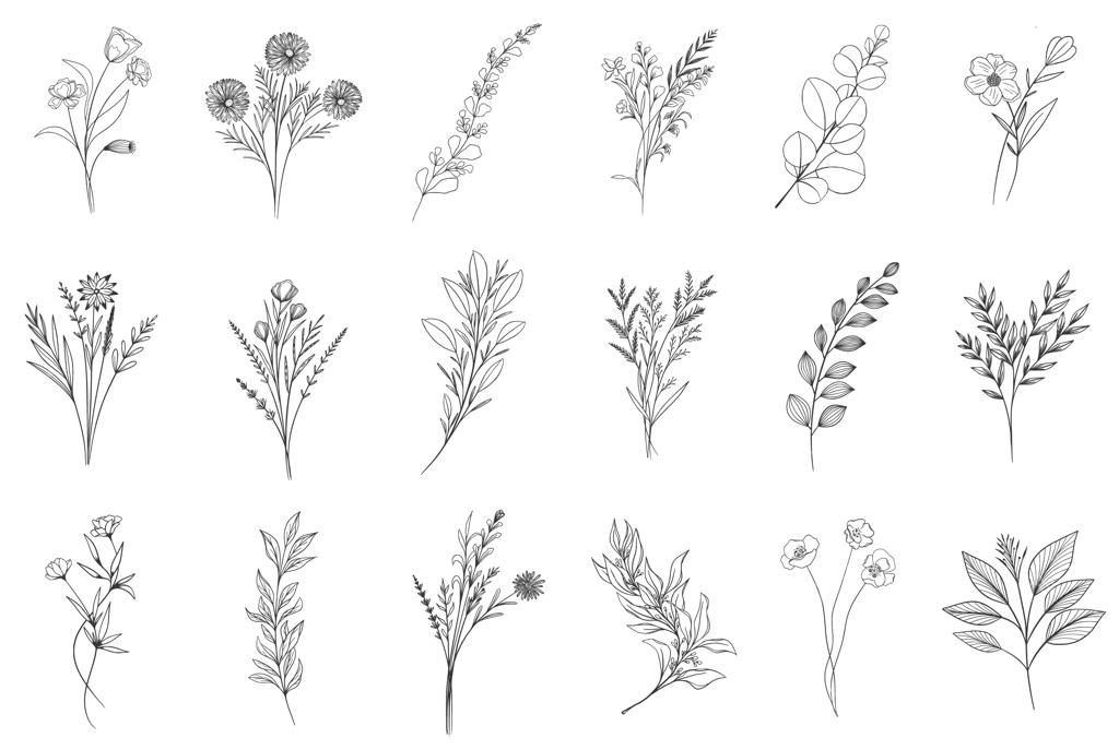 المان‌های گل و شاخ و برگ با طراحی دستی