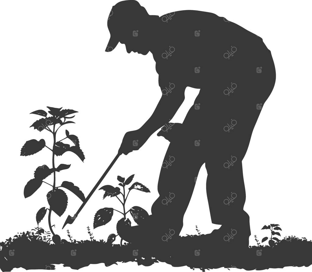 طراحی برداری حرفه‌ای: باغبان در حال کار به صورت سیلوئت سیاه‌رنگ