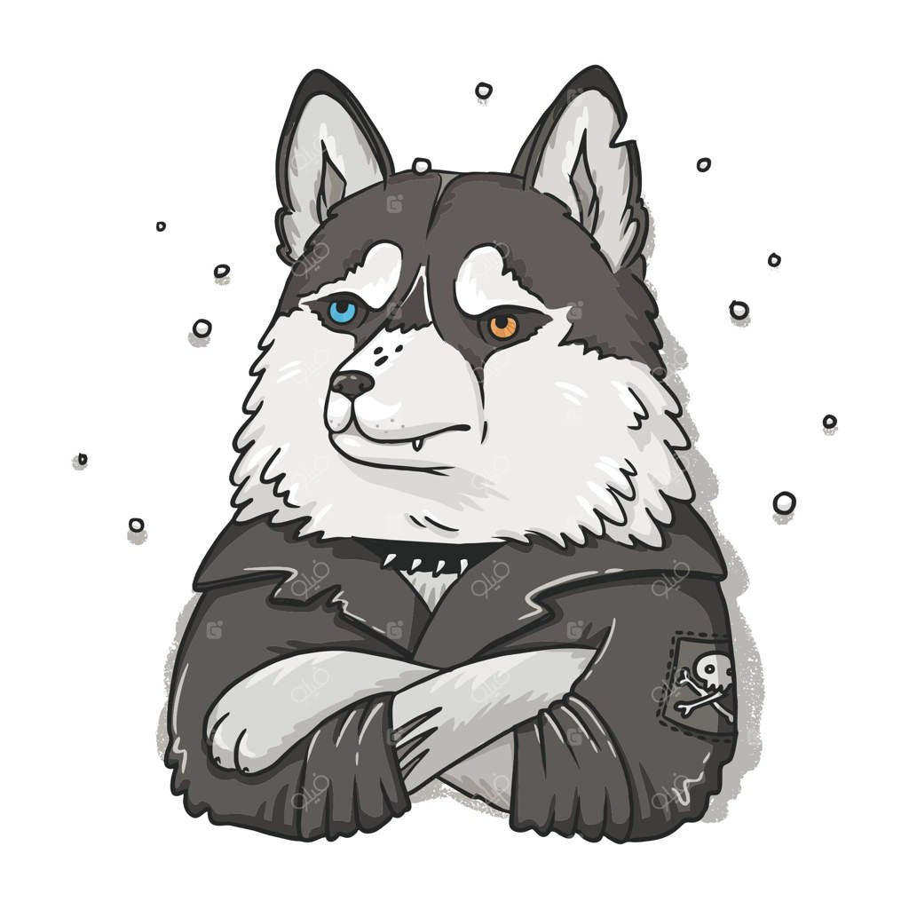 تصویر سگی از نژاد هاسکی با کاپشن راکری