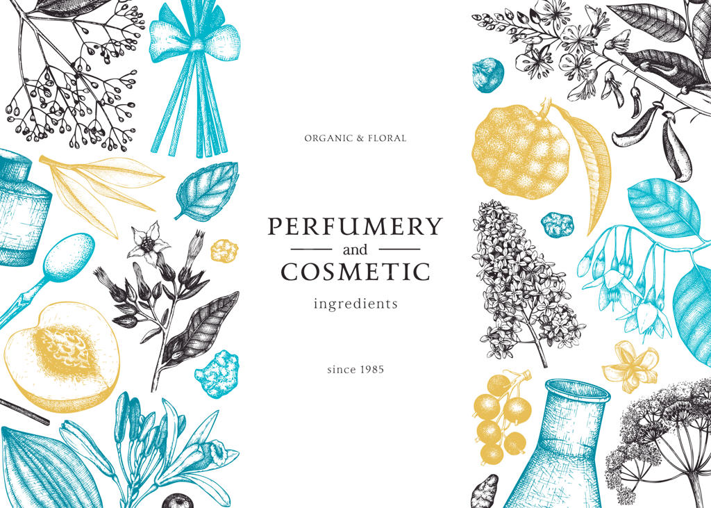 پس‌زمینه وکتوری با میوه‌های معطر و طرحی از مواد اولیه عطرسازی و لوازم آرایشی. طراحی بنر گیاهان معطر و دارویی. قالب گیاهی با تصویرسازی‌های رنگی.