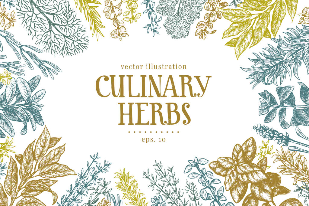 پس‌زمینه‌ای از گیاهان و ادویه‌های آشپزی دست‌کشیده