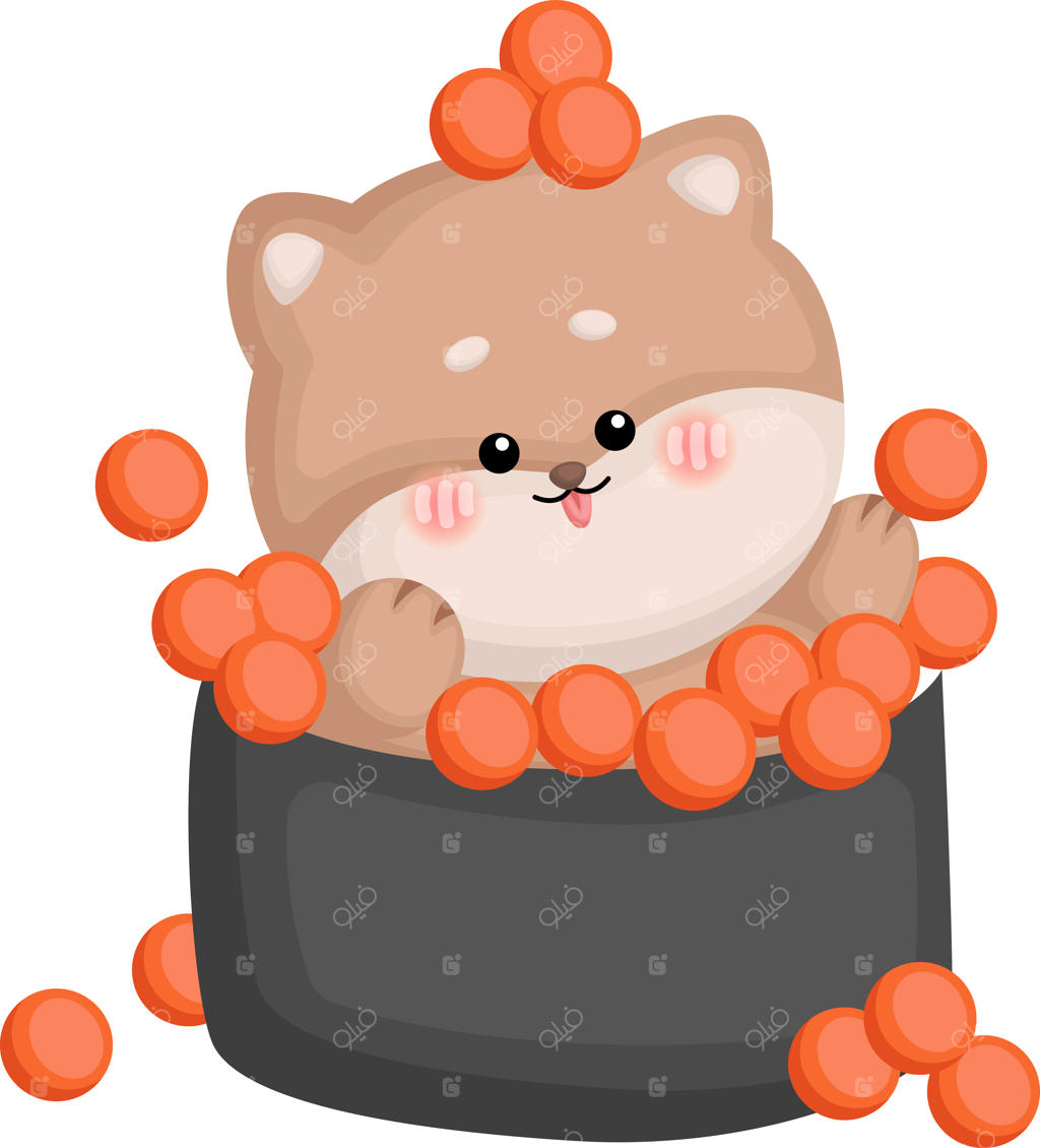 تصویری از یک سگ بامزه به شکل سوشی