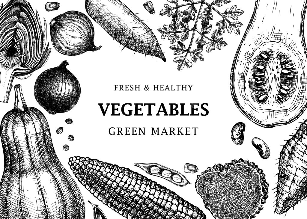 طراحی قاب جشن برداشت باکتور: پس‌زمینه‌ای از سبزیجات، گیاهان و قارچ‌ها همراه با عناصر طراحی دستی برای بَنرهای دستور پخت، تبلیغات وب و منوها