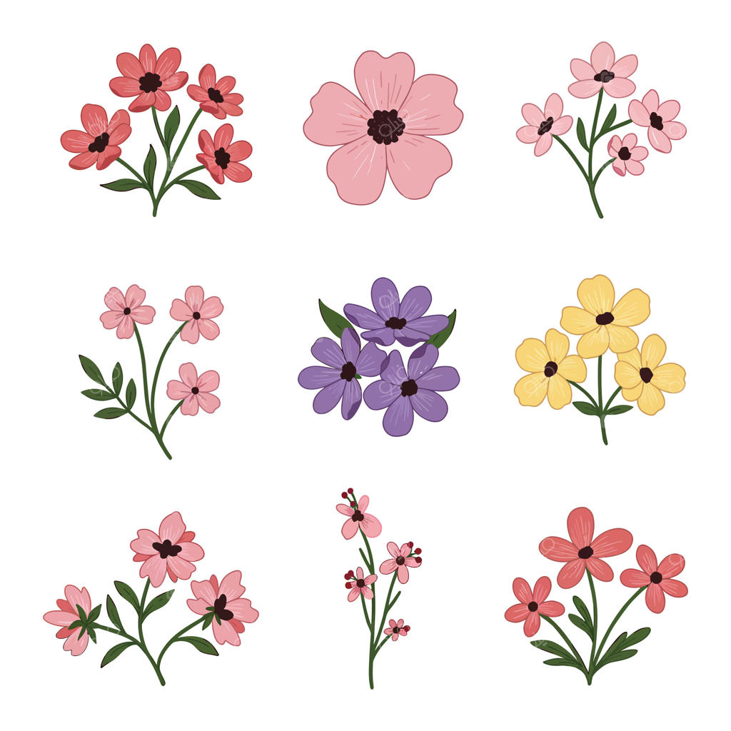 مجموعه‌ای از گل‌ها با رنگ‌ها و اندازه‌های متنوع