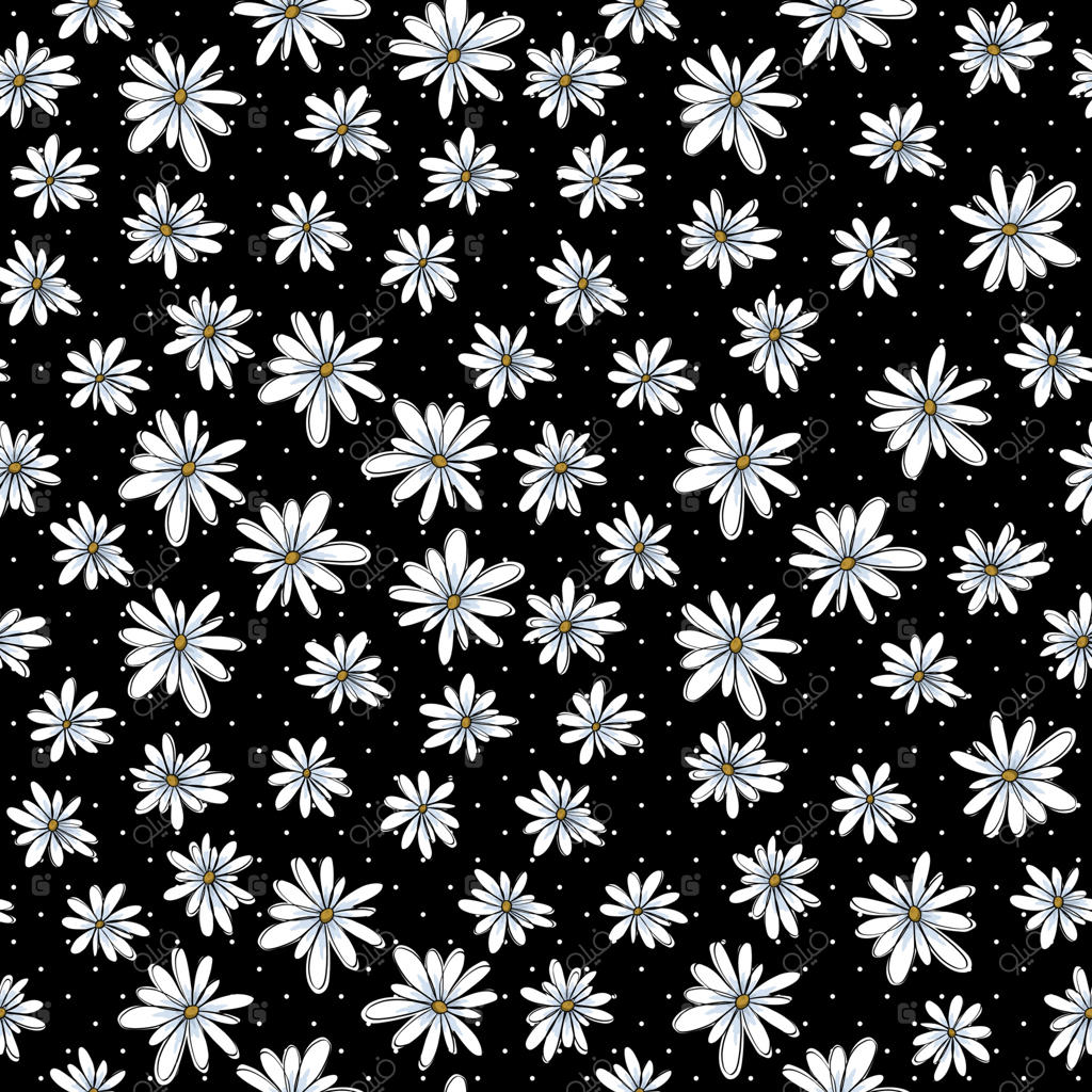 طرح یکپارچه با گل بابونه ساده بر روی زمینه سیاه.
