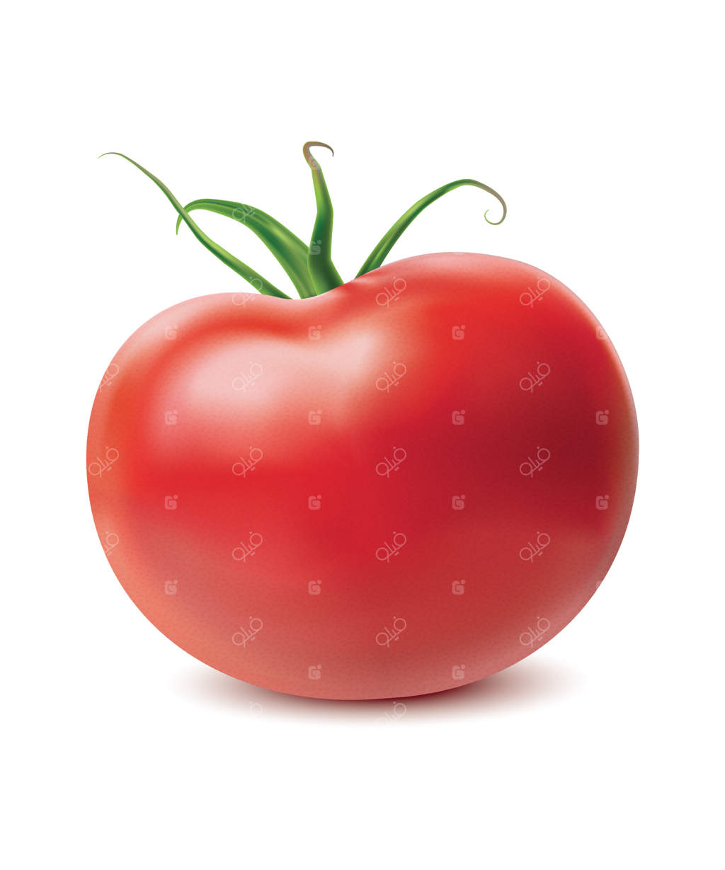 گوجه‌فرنگی روی زمینه سفید