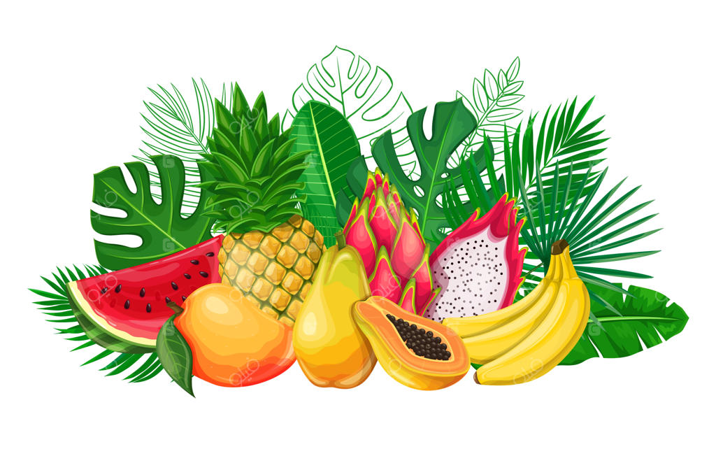 بنر برگ‌های گرمسیری و میوه‌های استوایی. پوستر برگ‌های جنگلی با طرح خطی نخل اریکا، برگ‌انجیری، دراگون‌فروت، پاپایا، آناناس، موز، انبه و هندوانه.