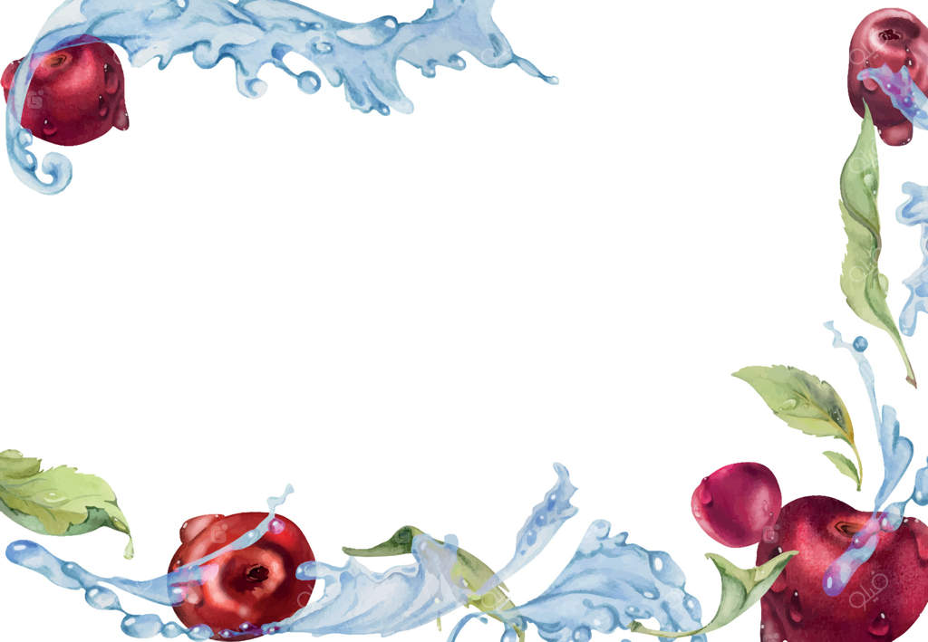 آلبالوهای ترش و شیرین در قطرات آب با طراحی دست‌ساز آبرنگ، میوه قرمز رسیده و برگ‌ها. قاب حاشیه‌ای جداگانه. منوی رستوران و کافه، بازار کشاورزان، عروسی.