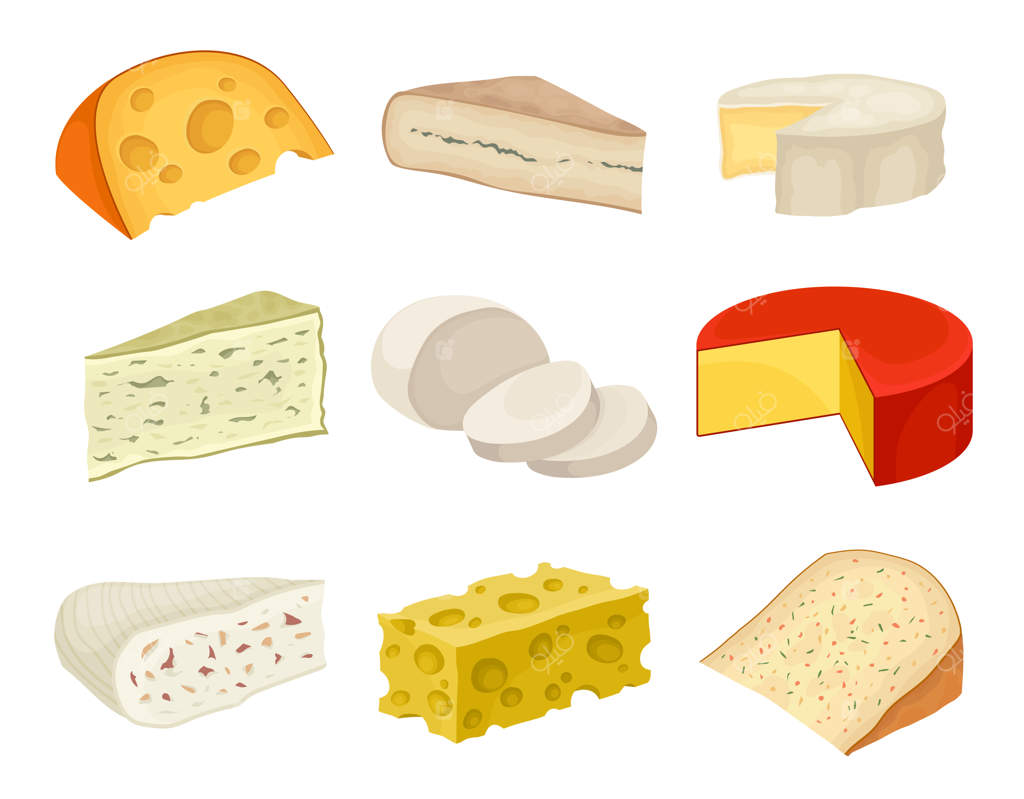 انواع پنیر روی زمینه سفید.