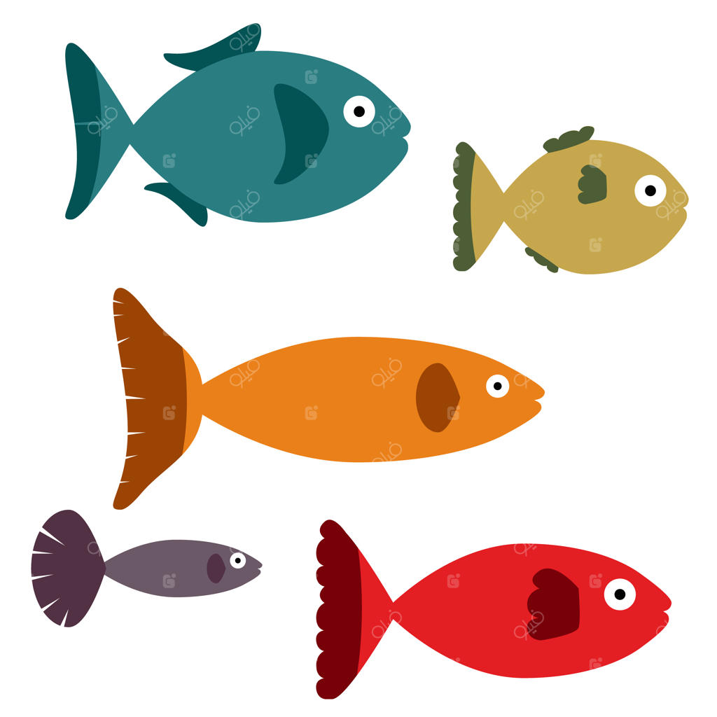 تصویرسازی مجموعه‌ای از ماهی‌های مختلف، جدا شده در پس‌زمینه سفید