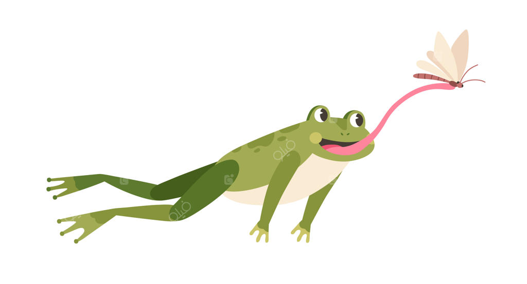 قورباغه بامزه در حال شکار پروانه. وزغ گرسنه و خنده‌دار در حال پریدن و گرفتن حشره با زبان. بچه قورباغه شاد. تصویرسازی وکتور فلت و رنگی از قورباغه شکارچی، جدا شده در پس‌زمینه سفید.
