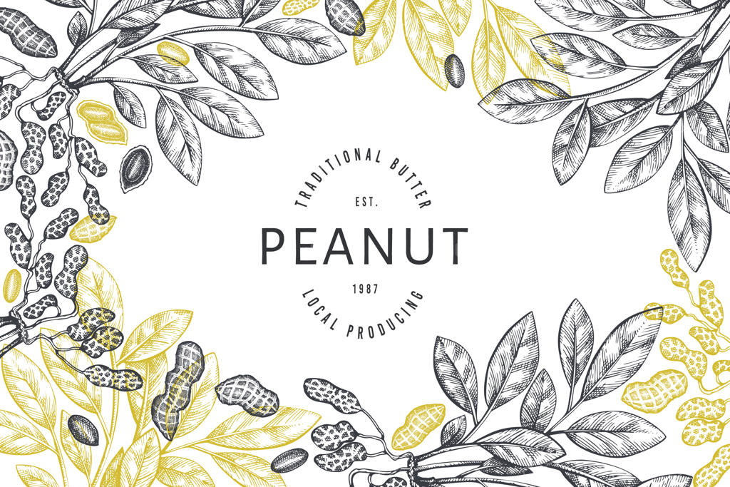 الگوی طراحی شاخه و دانه‌های بادام زمینی به صورت دستی کشیده شده.