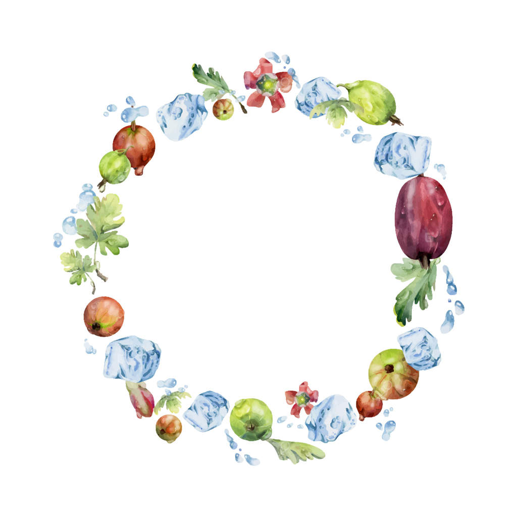انگور فرنگی و کشمش معلق در پاشش آب همراه با برگ‌های سبز، گل‌ها، قطرات شبنم و تکه‌های یخ، طراحی شده به صورت حلقه آبرنگ. کاسیس رسیده باغ. قاب دایره‌ای مجزا. خرید تازه از فروشگاه تره‌بار.