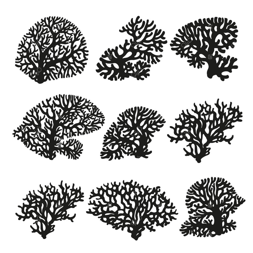 مجموعه طراحی سیاه و سفید سیلوئت‌های مرجان دریایی