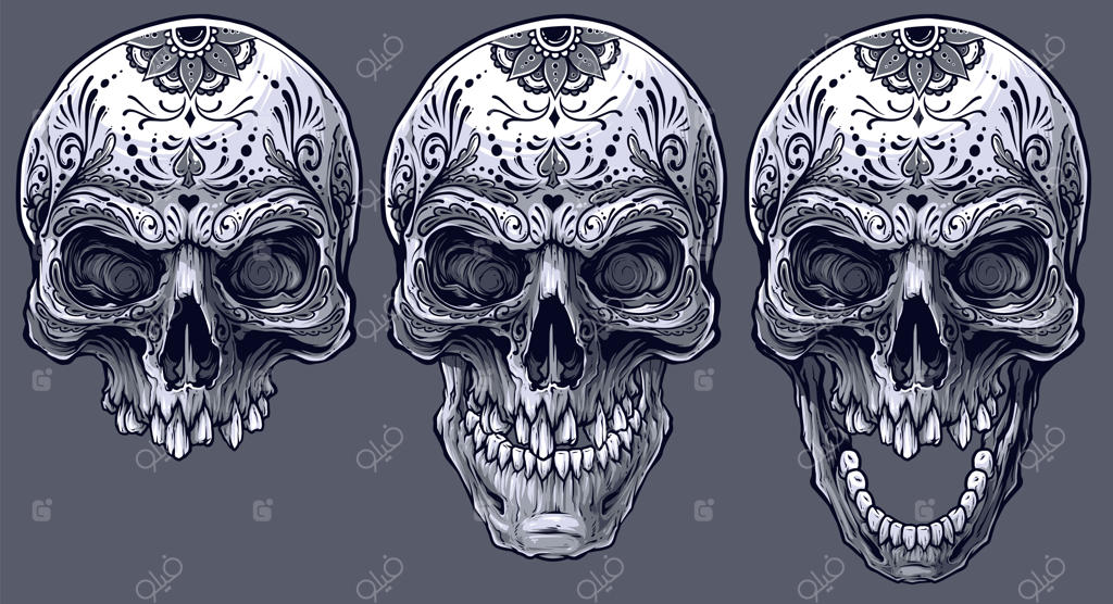 مجموعه‌ای از جمجمه‌های انسانی با طراحی گرافیکی دقیق به صورت سیاه و سفید