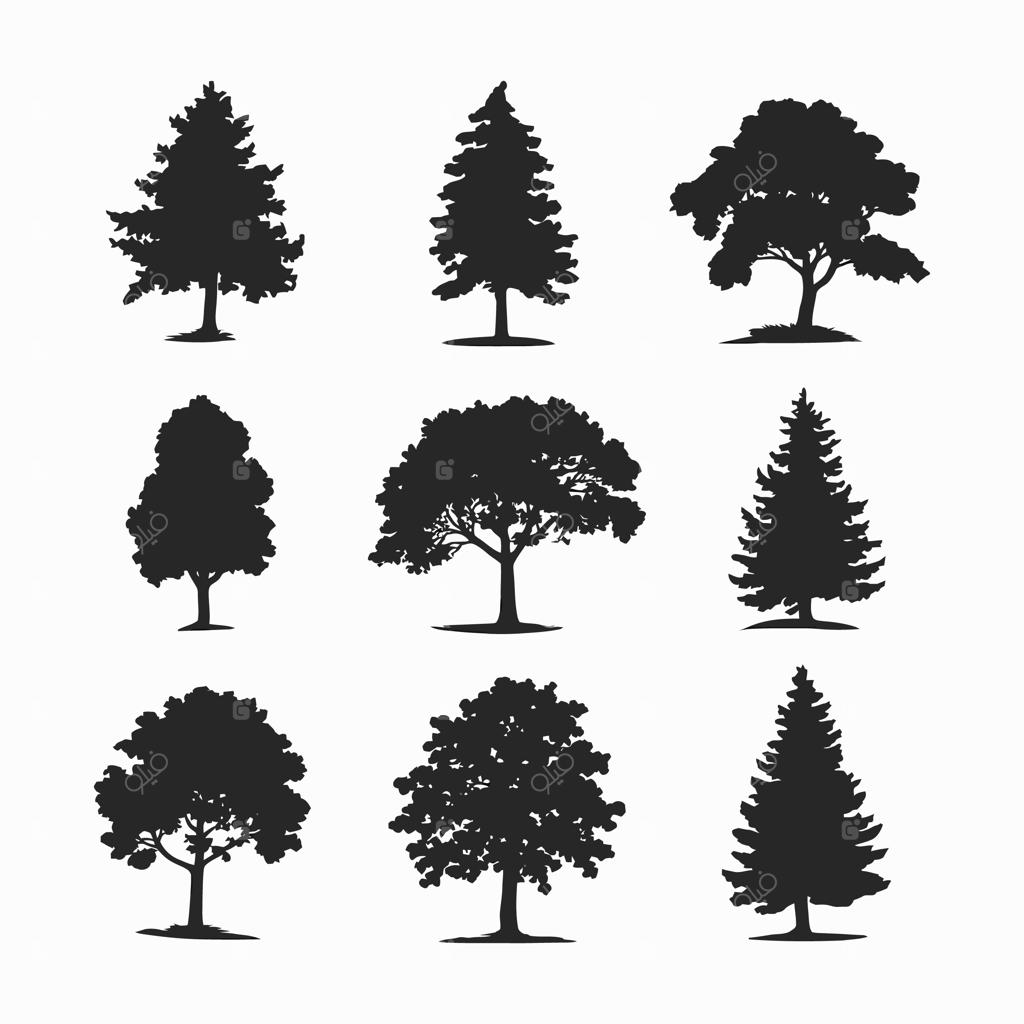 مجموعه وکتور سیلوئت درخت کاج در پس‌زمینه سفید