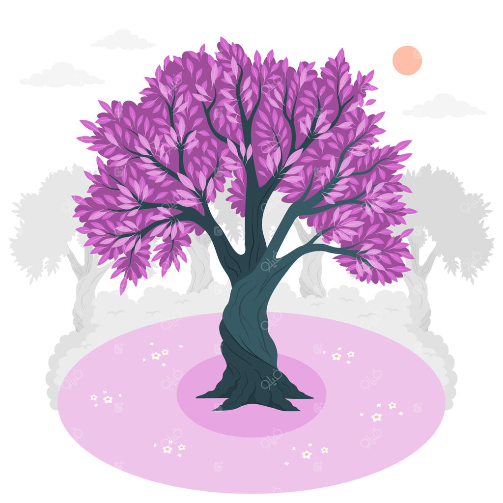 تصویر مفهومی درخت زیتون