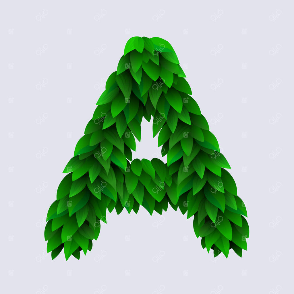 حروف الفبا ساخته شده از برگ‌های سبز تازه - حرف A