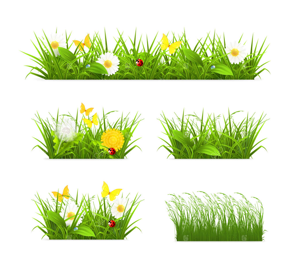 مجموعه‌ علف های تازه