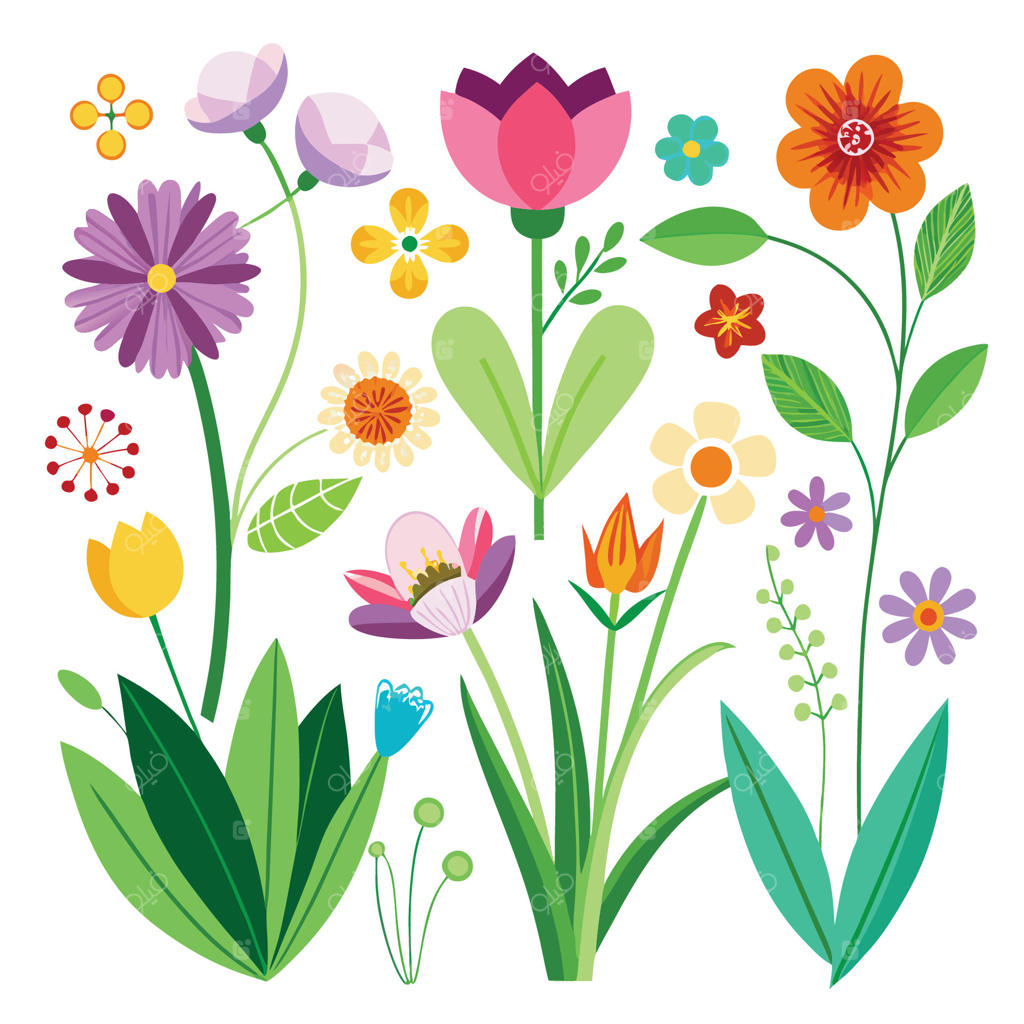 شکوفه‌های باغ در اوج زیبایی