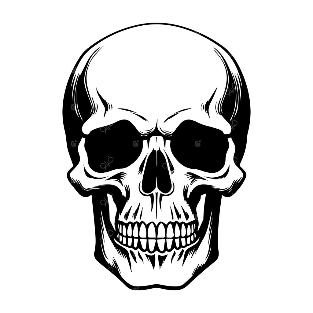 وکتور سیلوئت سیاه جمجمه انسان در پس‌زمینه سفید، طرح هالووین