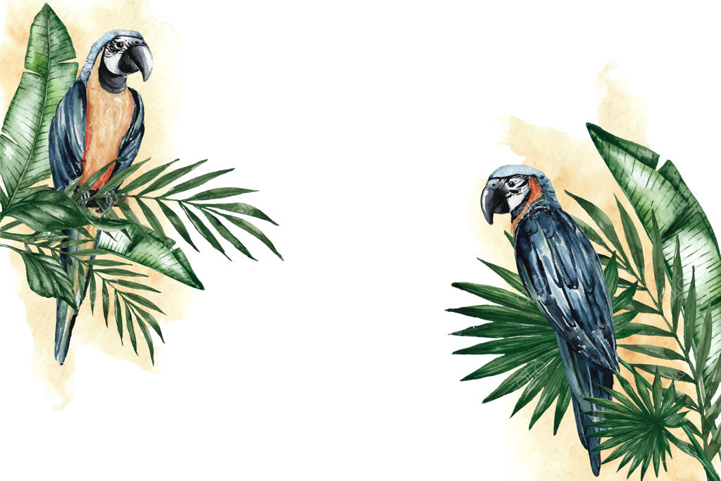 پس‌زمینه آبرنگی تابستانی و استوایی با توکان‌ها