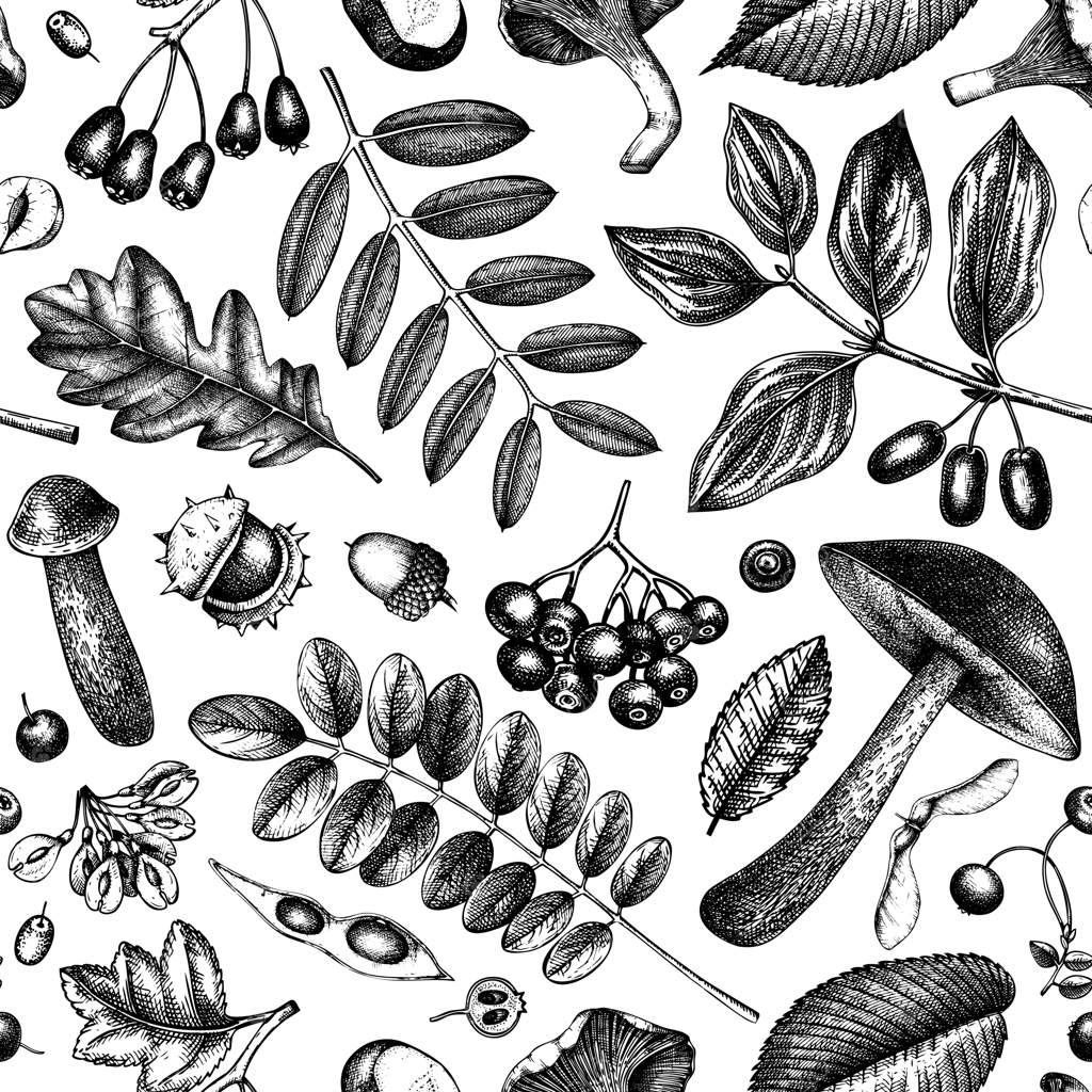 پترن یکپارچه گیاهان جنگل پاییزی. پس‌زمینه‌ای با طرح‌های قارچ، برگ‌ها، آجیل‌ها و توت‌ها. طراحی شده برای فصل پاییز به سبک قدیمی. الگوهای گیاهی برای روز شکرگزاری.