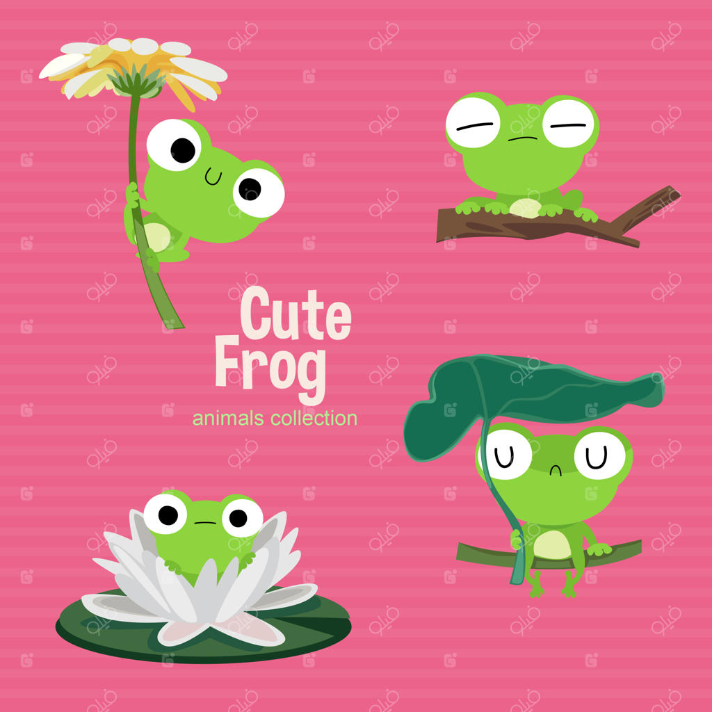 مجموعه‌ای از قورباغه‌های بامزه و دوست‌داشتنی