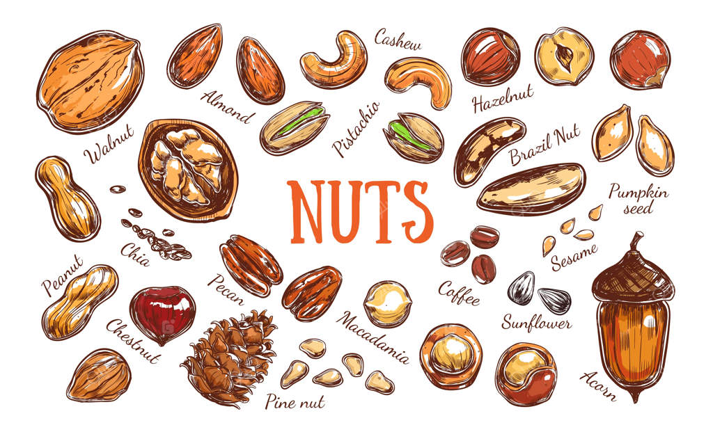 مجموعه‌ای رنگارنگ از آجیل و دانه‌ها