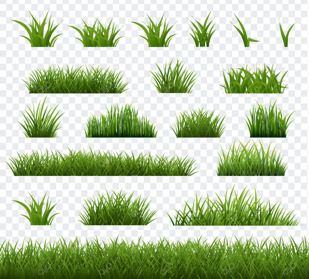 چمن سبز بهاری با پس‌زمینه شفاف