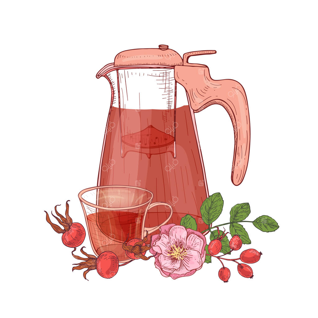 تصویری زیبا از پارچ شیشه‌ای شفاف با صافی، فنجان چای و شاخه گل نسترن و برگ‌ها