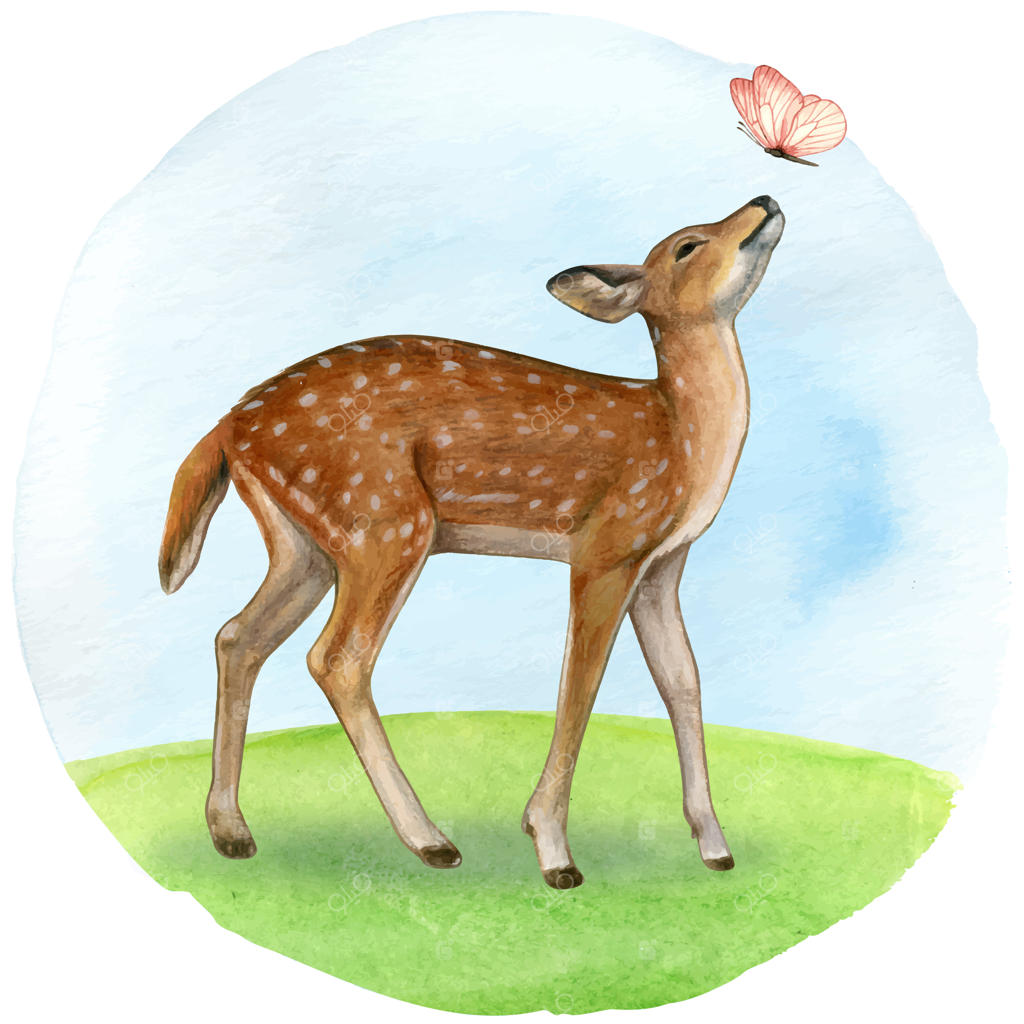 نقاشی آبرنگی زیبا و واقع‌گرایانه آهو و پروانه