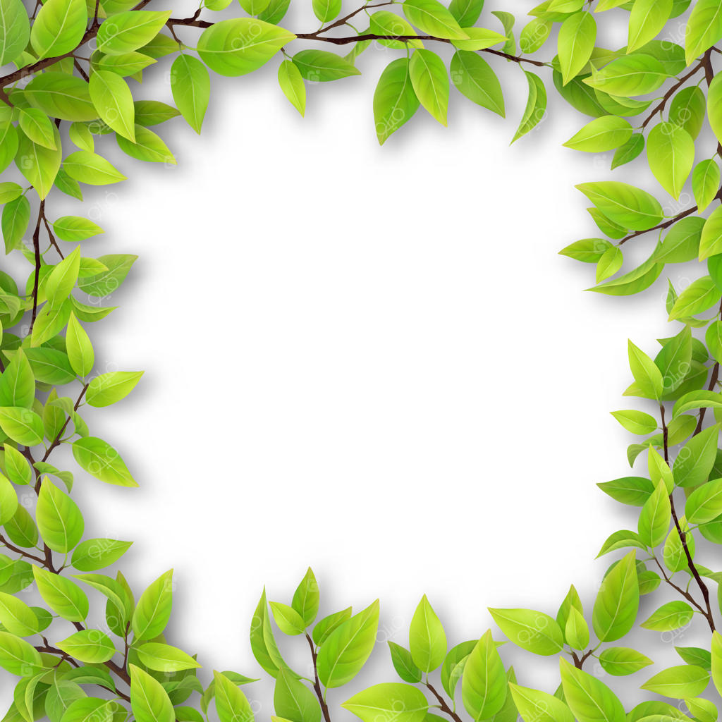 قاب شاخه‌های درخت با برگ و فضای خالی برای متن